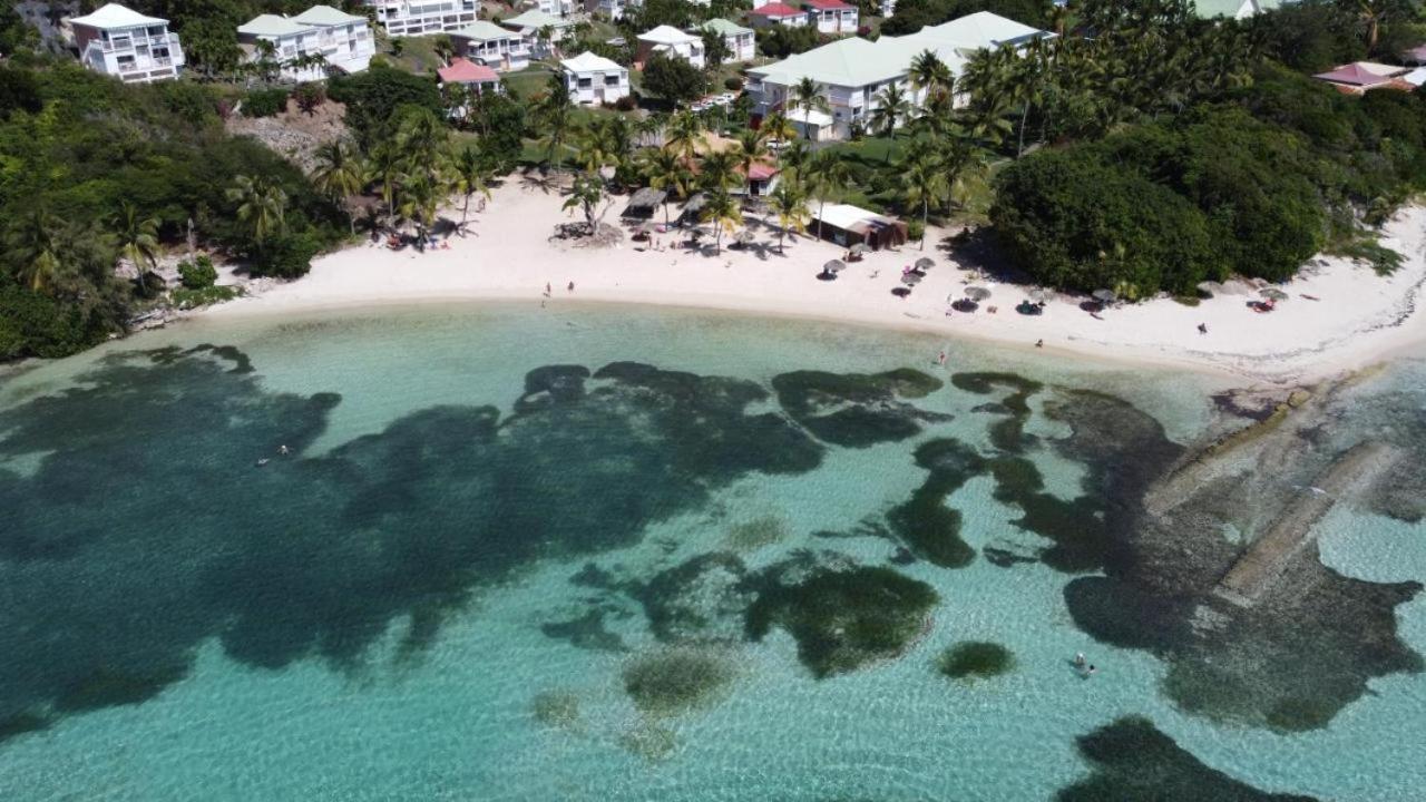 Chaleureux Studio 4 Personnes - Residence Anse Des Rochers - " Les Alizes Du Soir " Tout Equipe Et Citerne D'Eau Saint-Francois  Exteriér fotografie